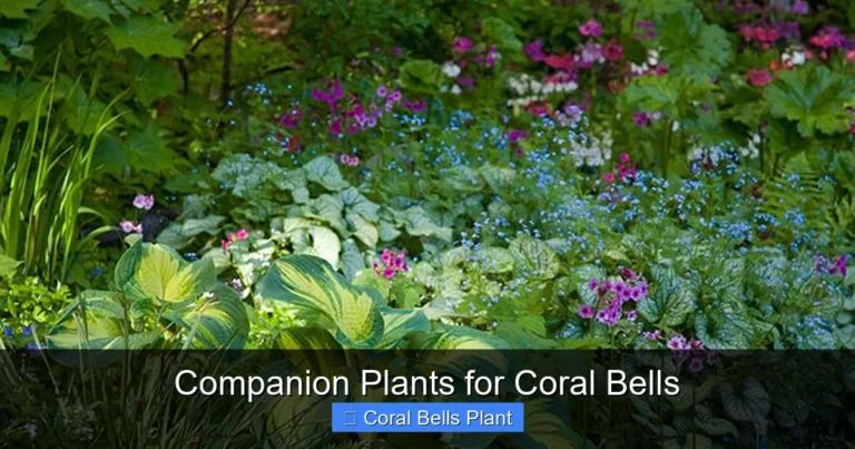 Companion Plants for Coral Bells
