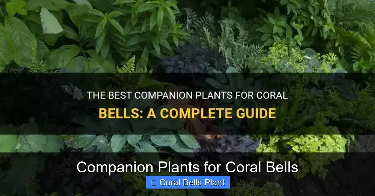 Companion Plants for Coral Bells
