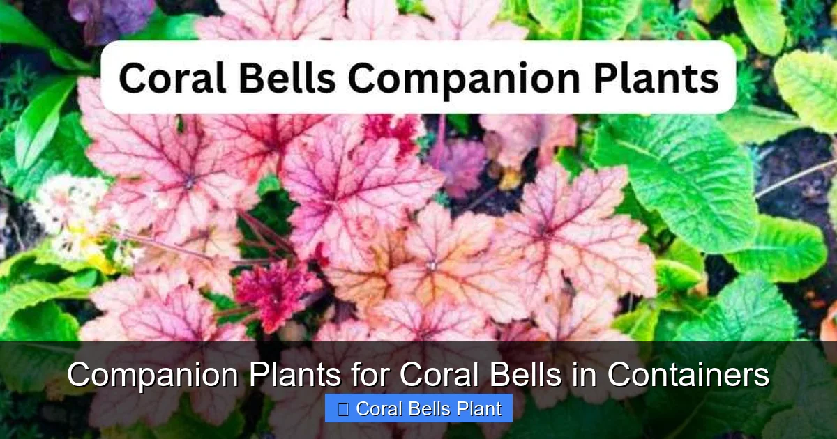 Companion Plants for Coral Bells in Containers