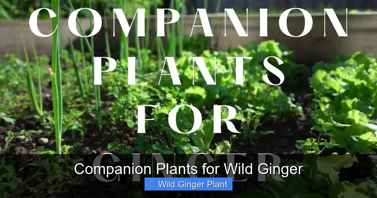 Companion Plants for Wild Ginger