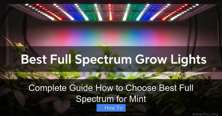 Complete Guide How to Choose Best Full Spectrum for Mint