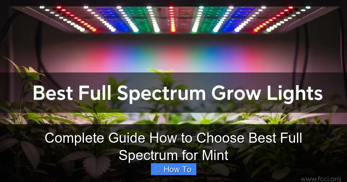Complete Guide How to Choose Best Full Spectrum for Mint
