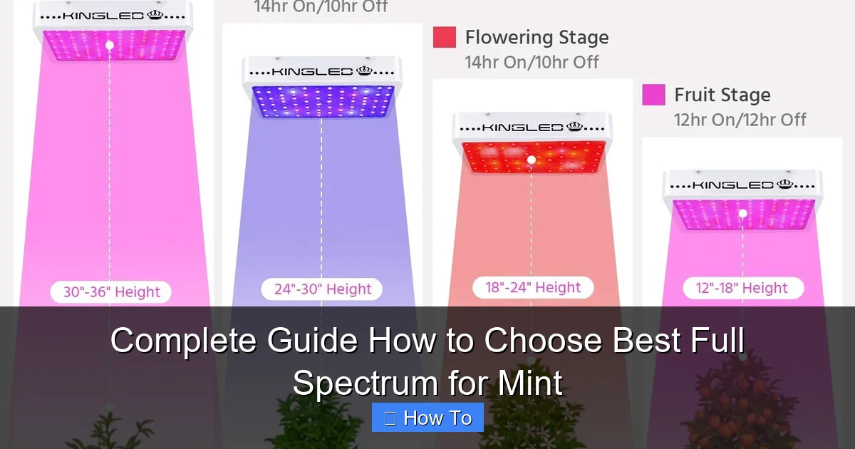 Complete Guide How to Choose Best Full Spectrum for Mint