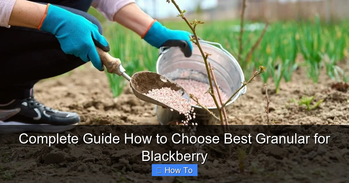 Complete Guide How to Choose Best Granular for Blackberry