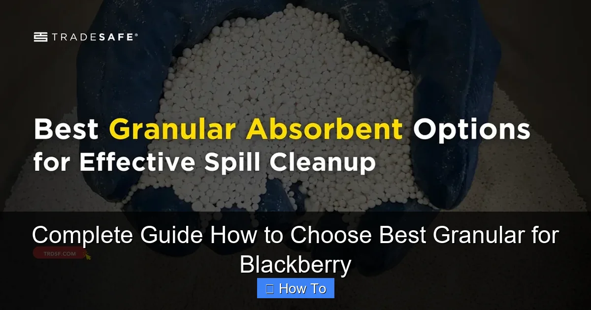 Complete Guide How to Choose Best Granular for Blackberry