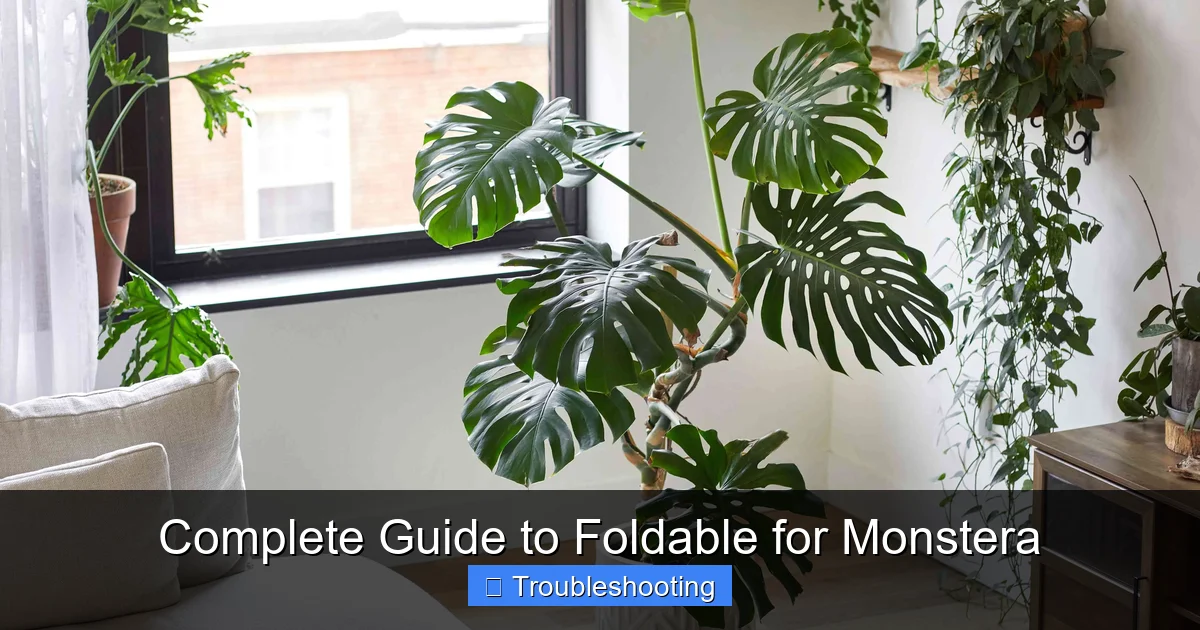 Complete Guide to Foldable for Monstera