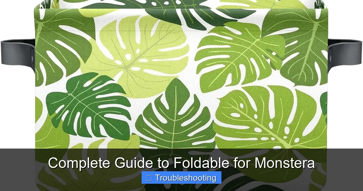 Complete Guide to Foldable for Monstera