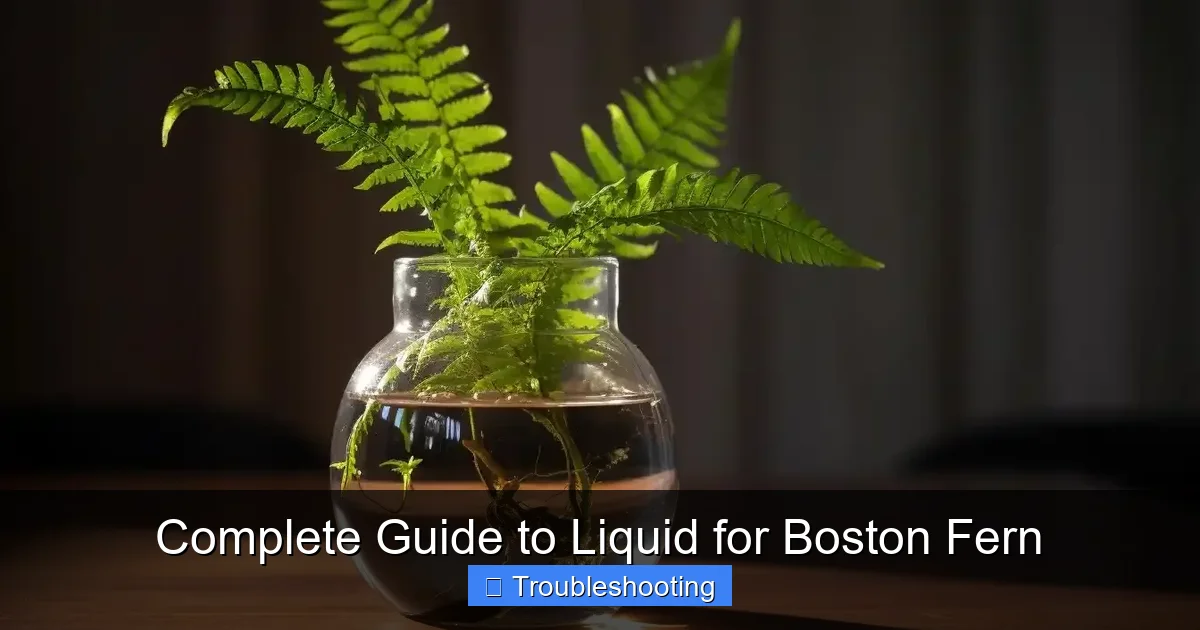 Complete Guide to Liquid for Boston Fern