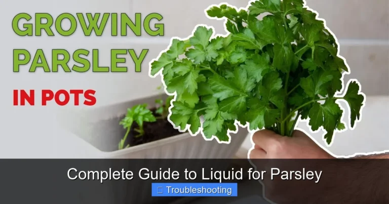 Complete Guide to Liquid for Parsley
