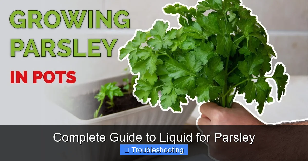 Complete Guide to Liquid for Parsley