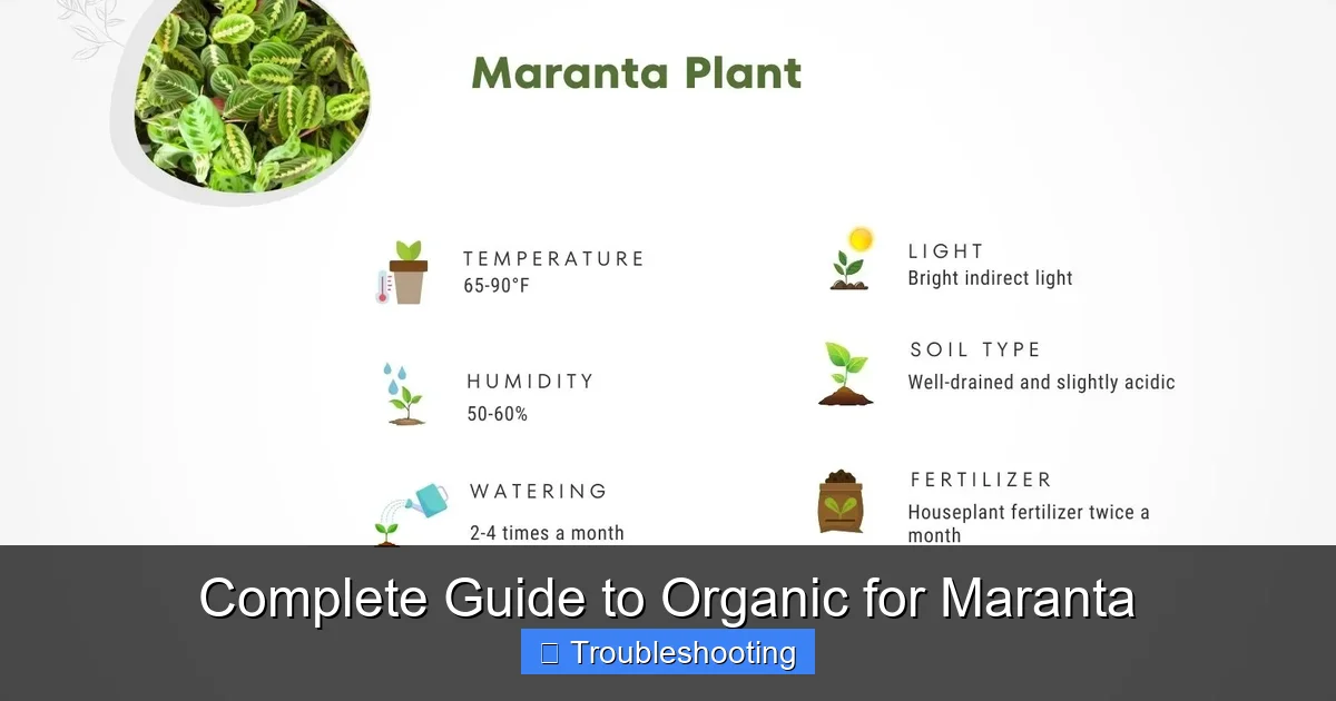Complete Guide to Organic for Maranta