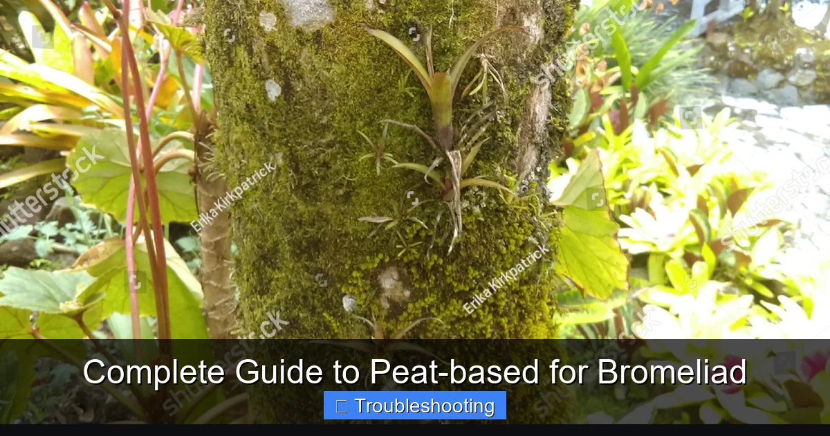 Complete Guide to Peat-based for Bromeliad