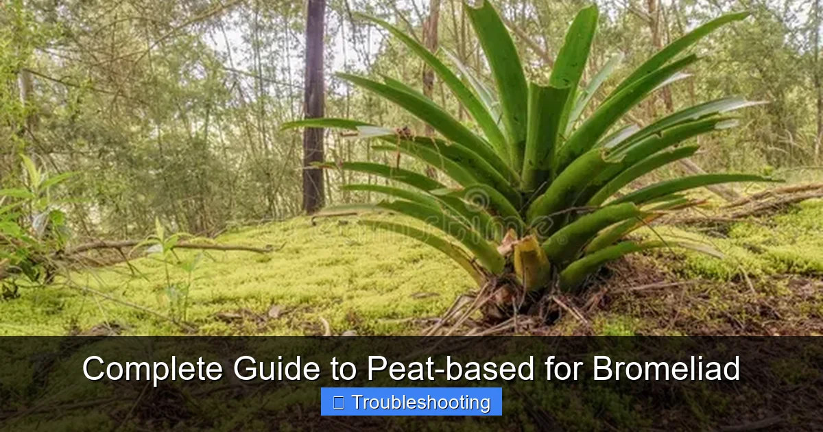Complete Guide to Peat-based for Bromeliad