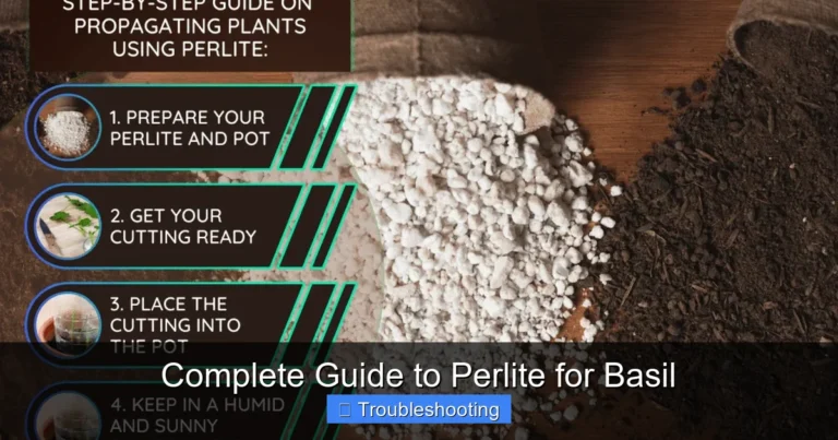 Complete Guide to Perlite for Basil
