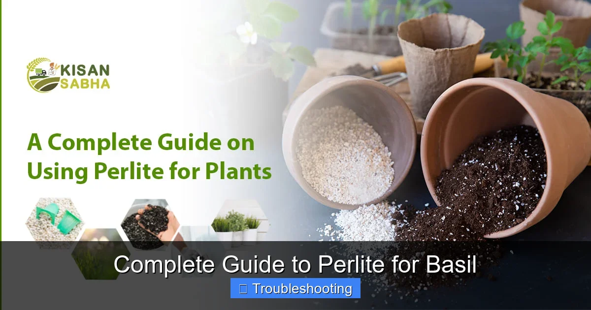 Complete Guide to Perlite for Basil