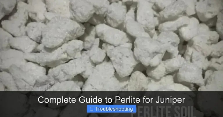 Complete Guide to Perlite for Juniper