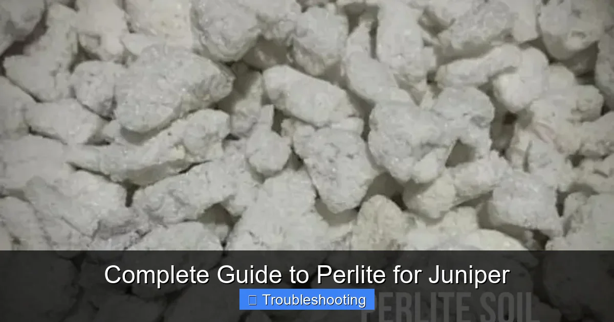 Complete Guide to Perlite for Juniper