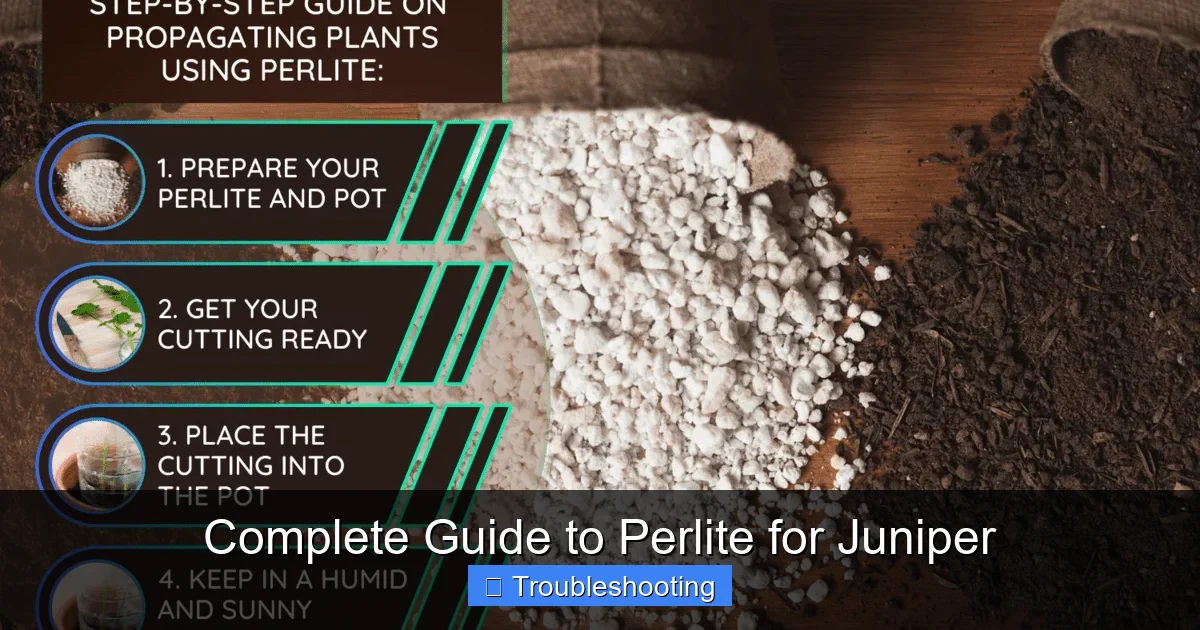 Complete Guide to Perlite for Juniper