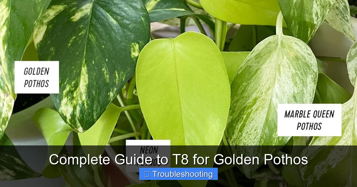 Complete Guide to T8 for Golden Pothos