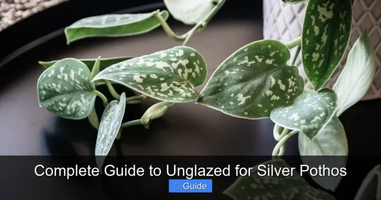 Complete Guide to Unglazed for Silver Pothos