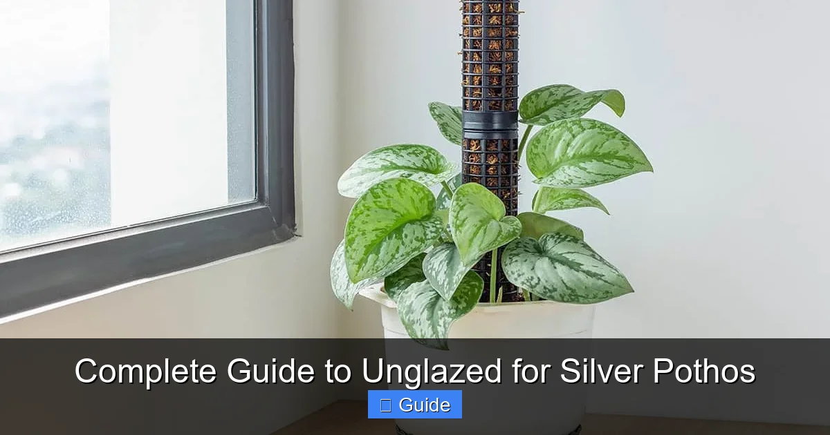 Complete Guide to Unglazed for Silver Pothos