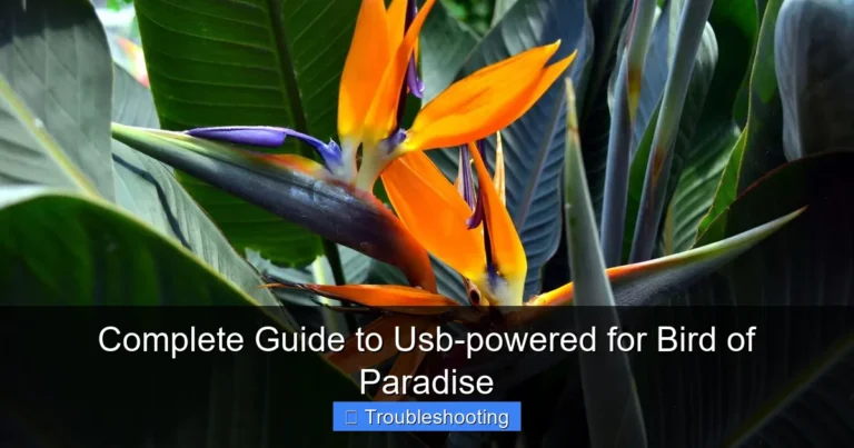 Complete Guide to Usb-powered for Bird of Paradise