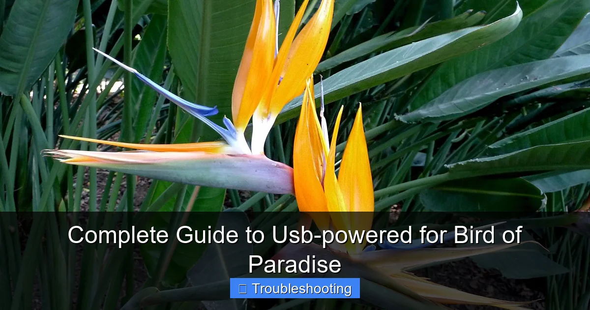Complete Guide to Usb-powered for Bird of Paradise