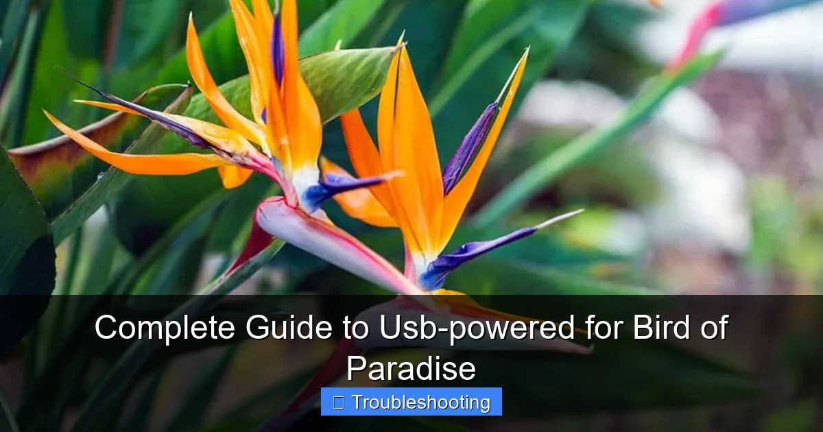 Complete Guide to Usb-powered for Bird of Paradise