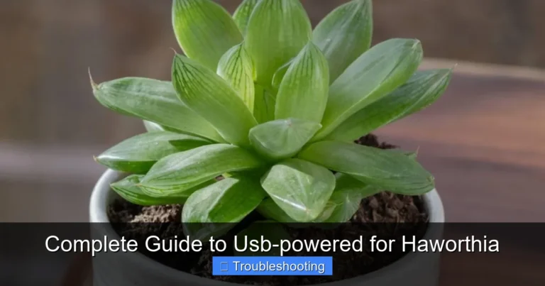 Complete Guide to Usb-powered for Haworthia