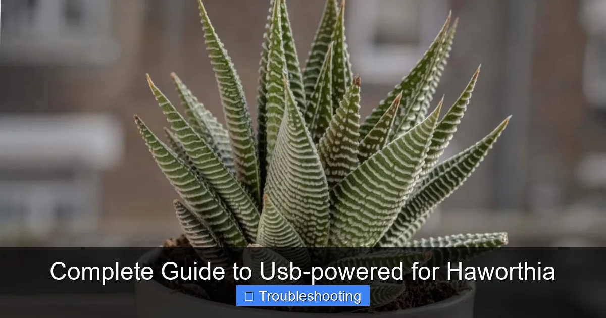 Complete Guide to Usb-powered for Haworthia
