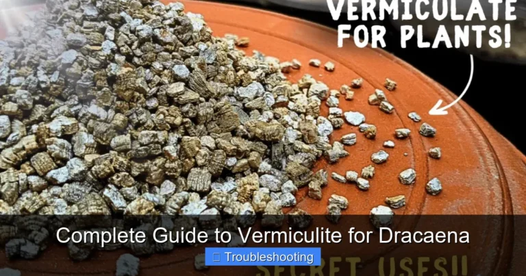 Complete Guide to Vermiculite for Dracaena