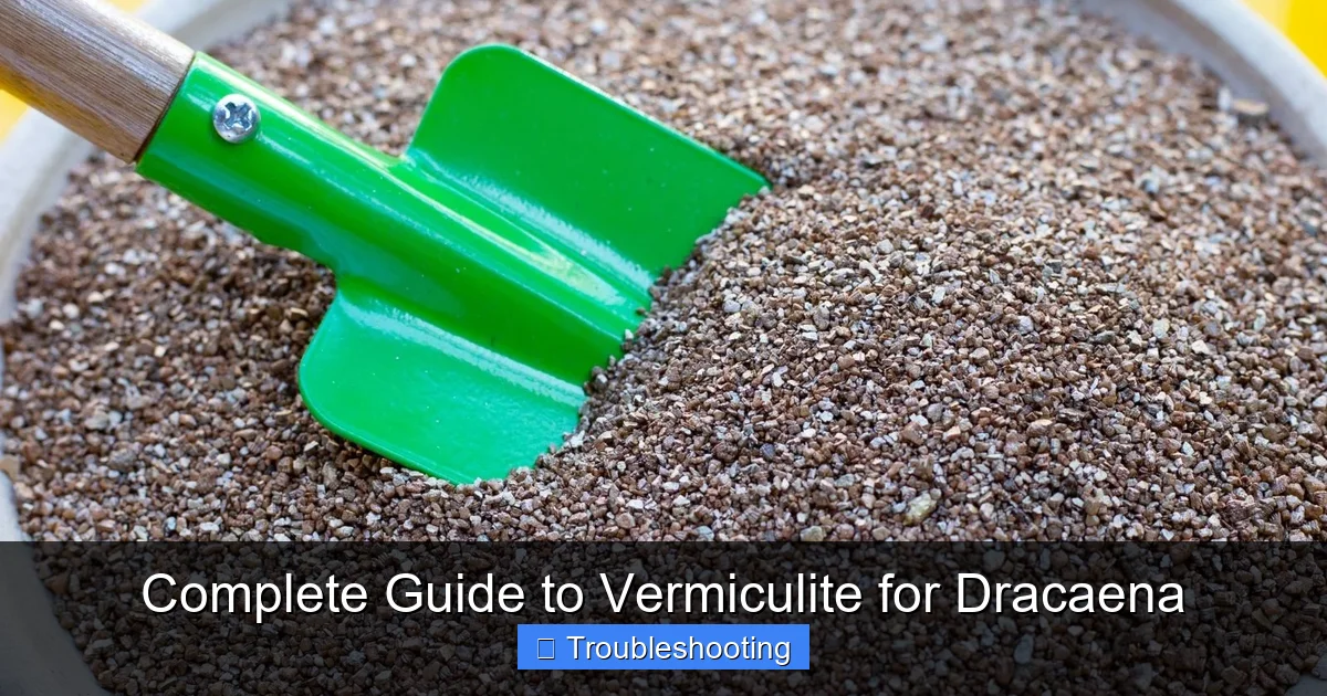 Complete Guide to Vermiculite for Dracaena