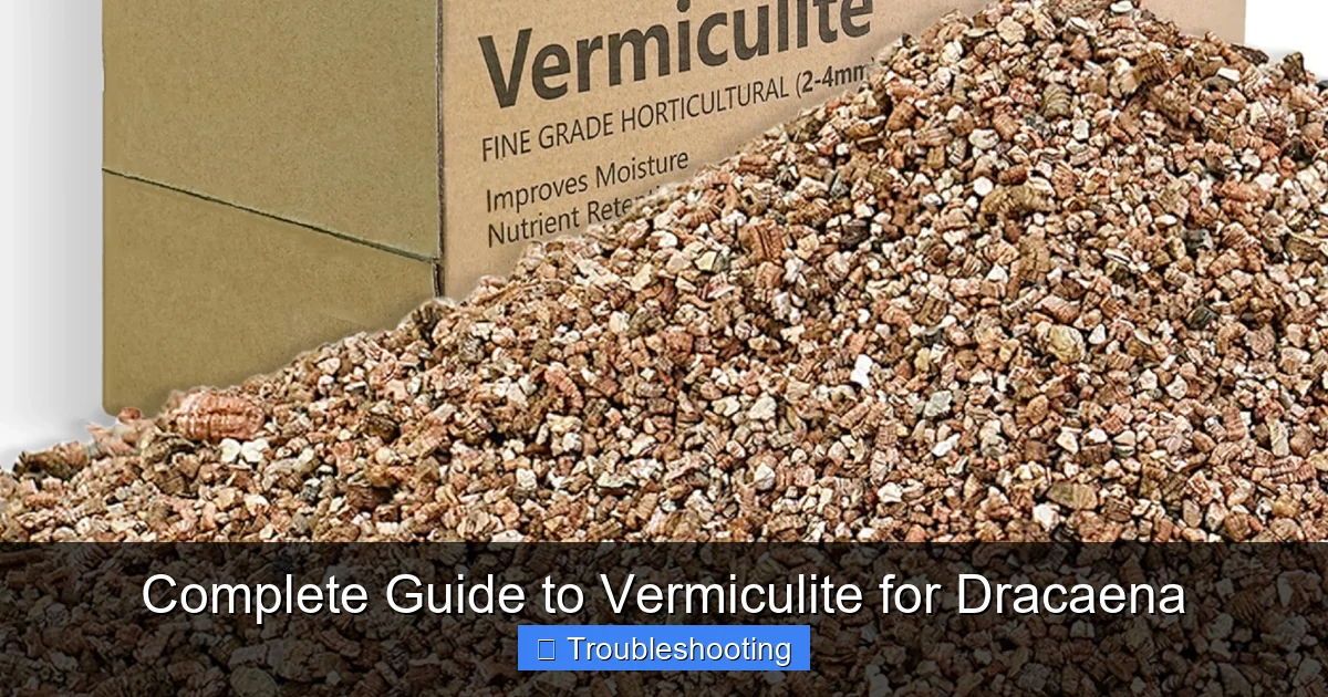 Complete Guide to Vermiculite for Dracaena
