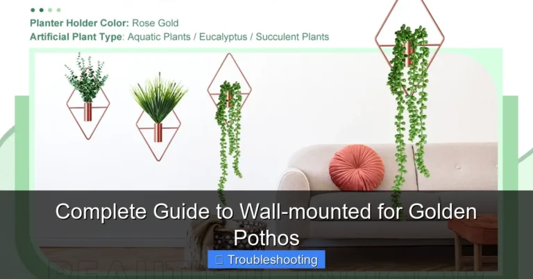 Complete Guide to Wall-mounted for Golden Pothos