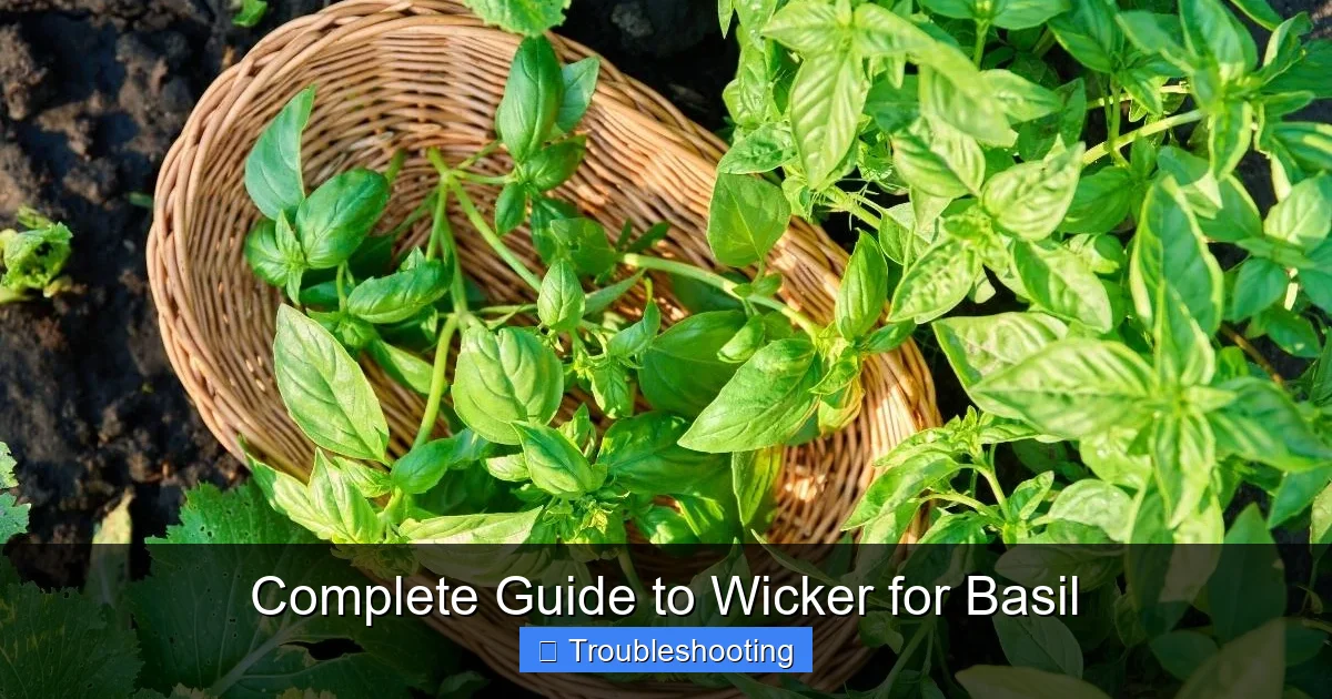 Complete Guide to Wicker for Basil