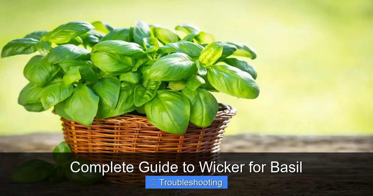 Complete Guide to Wicker for Basil