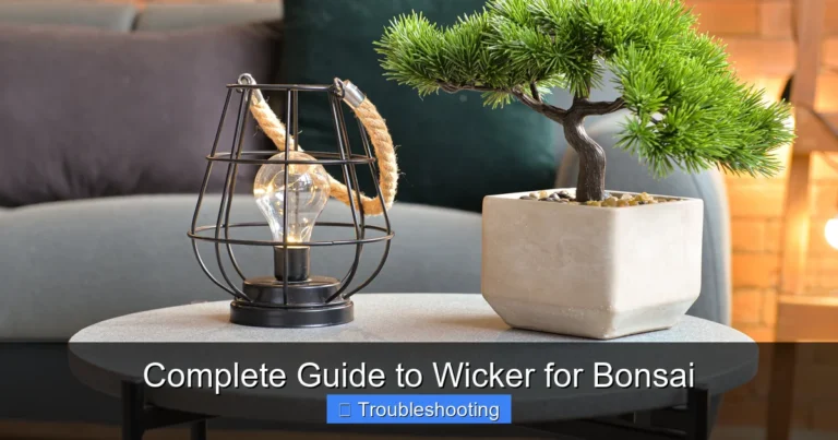 Complete Guide to Wicker for Bonsai