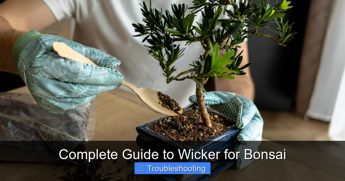 Complete Guide to Wicker for Bonsai