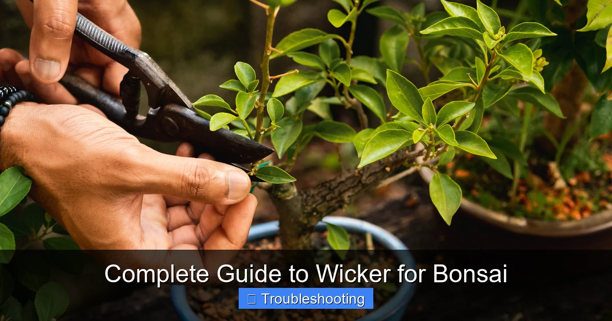 Complete Guide to Wicker for Bonsai