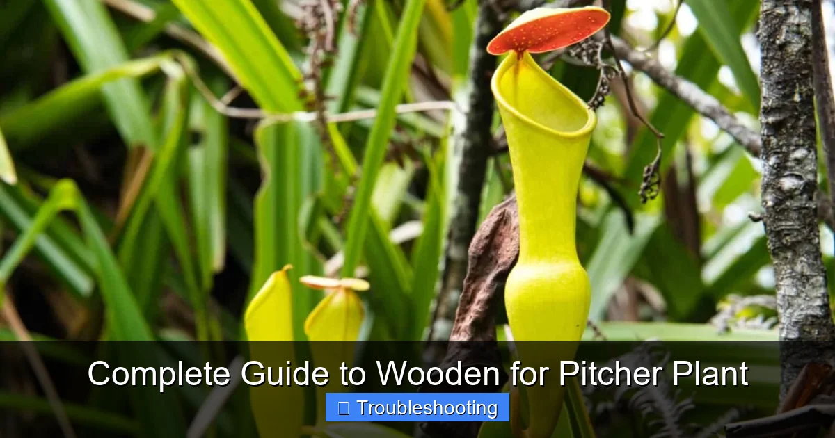 Complete Guide to Wooden for Pitcher Plant