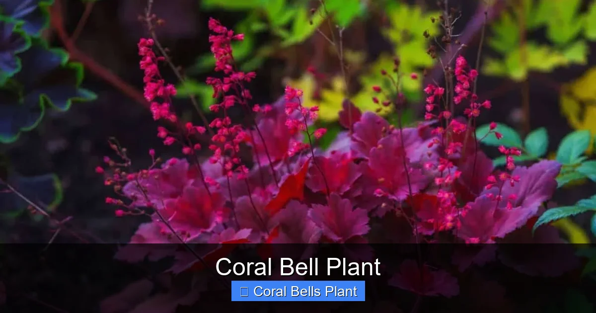Coral Bell Plant