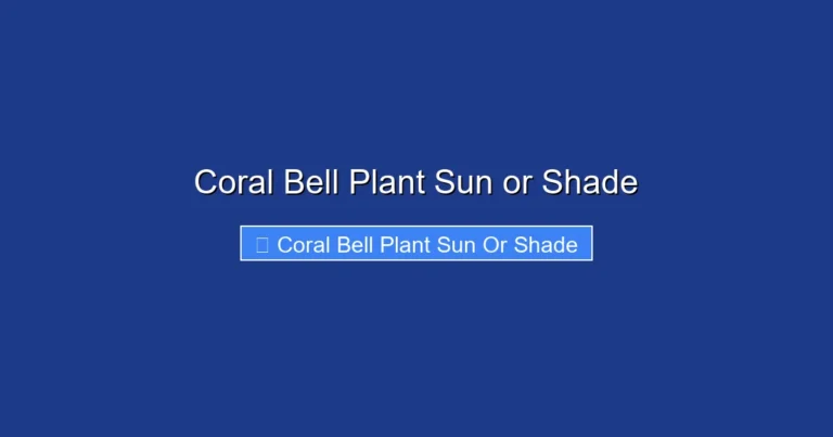 Coral Bell Plant Sun or Shade