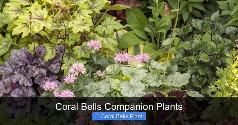 Coral Bells Companion Plants