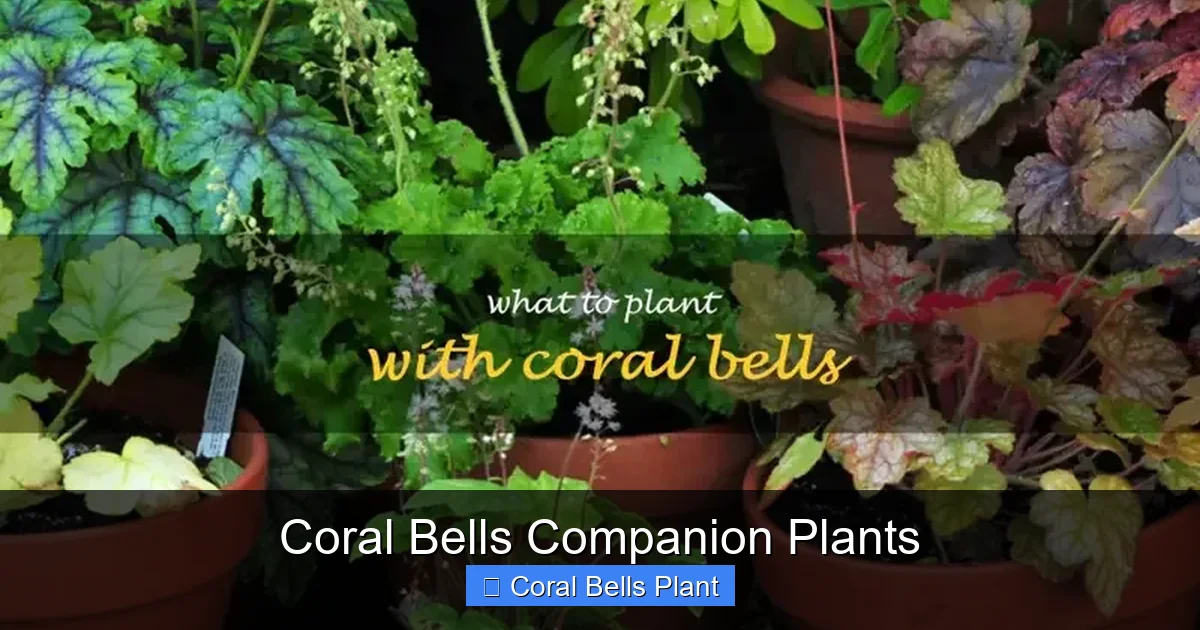 Coral Bells Companion Plants