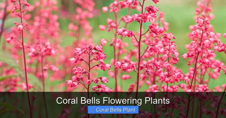 Coral Bells Flowering Plants