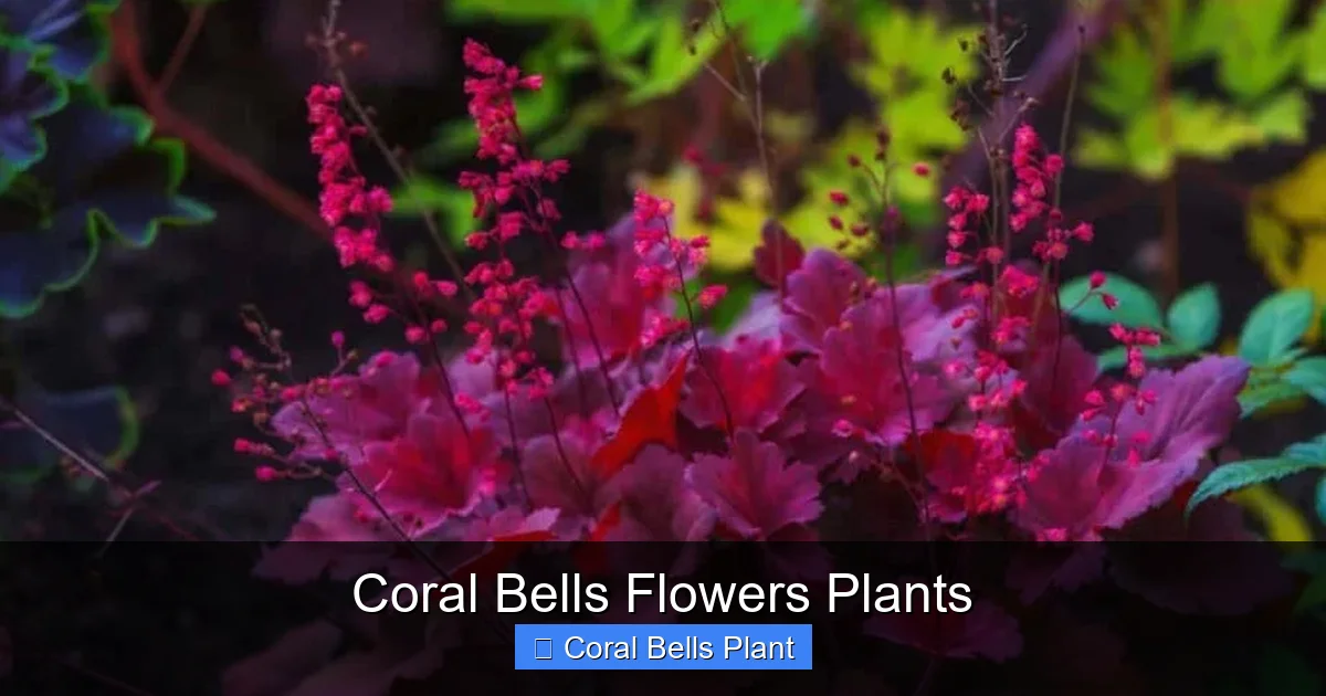 Coral Bells Flowers Plants