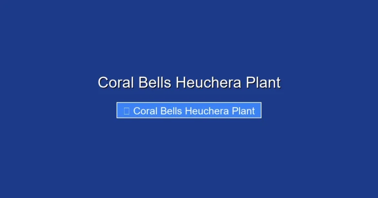 Coral Bells Heuchera Plant