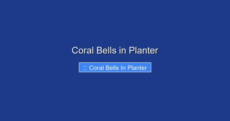 Coral Bells in Planter