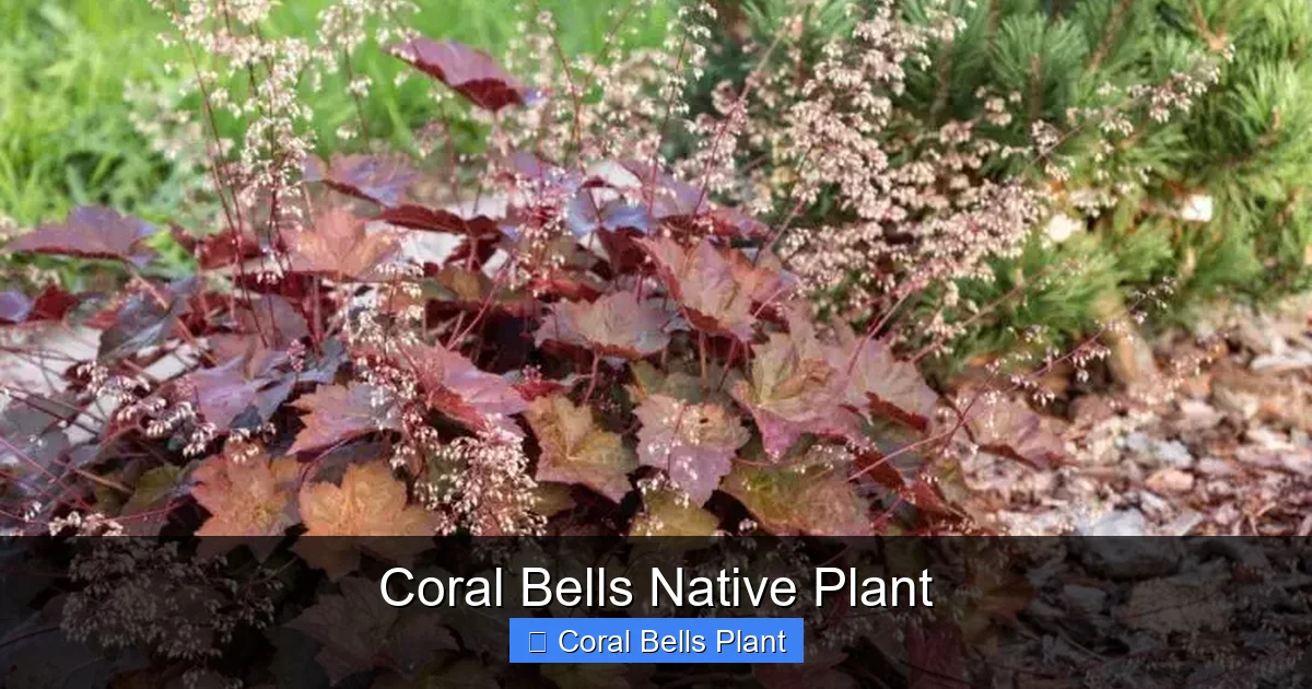 Coral Bells Native Plant