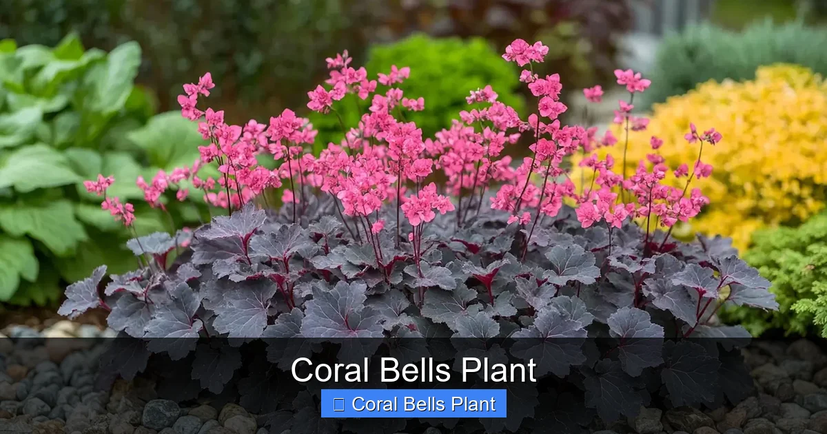 Coral Bells Plant